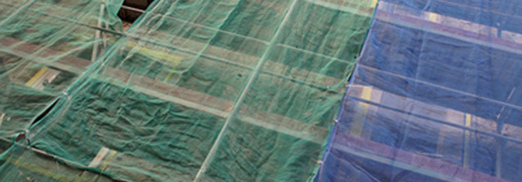 News_web_001